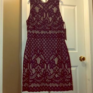 *Brand new* Navy Blue/Nude Lace Short dress